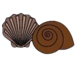 Mollusc